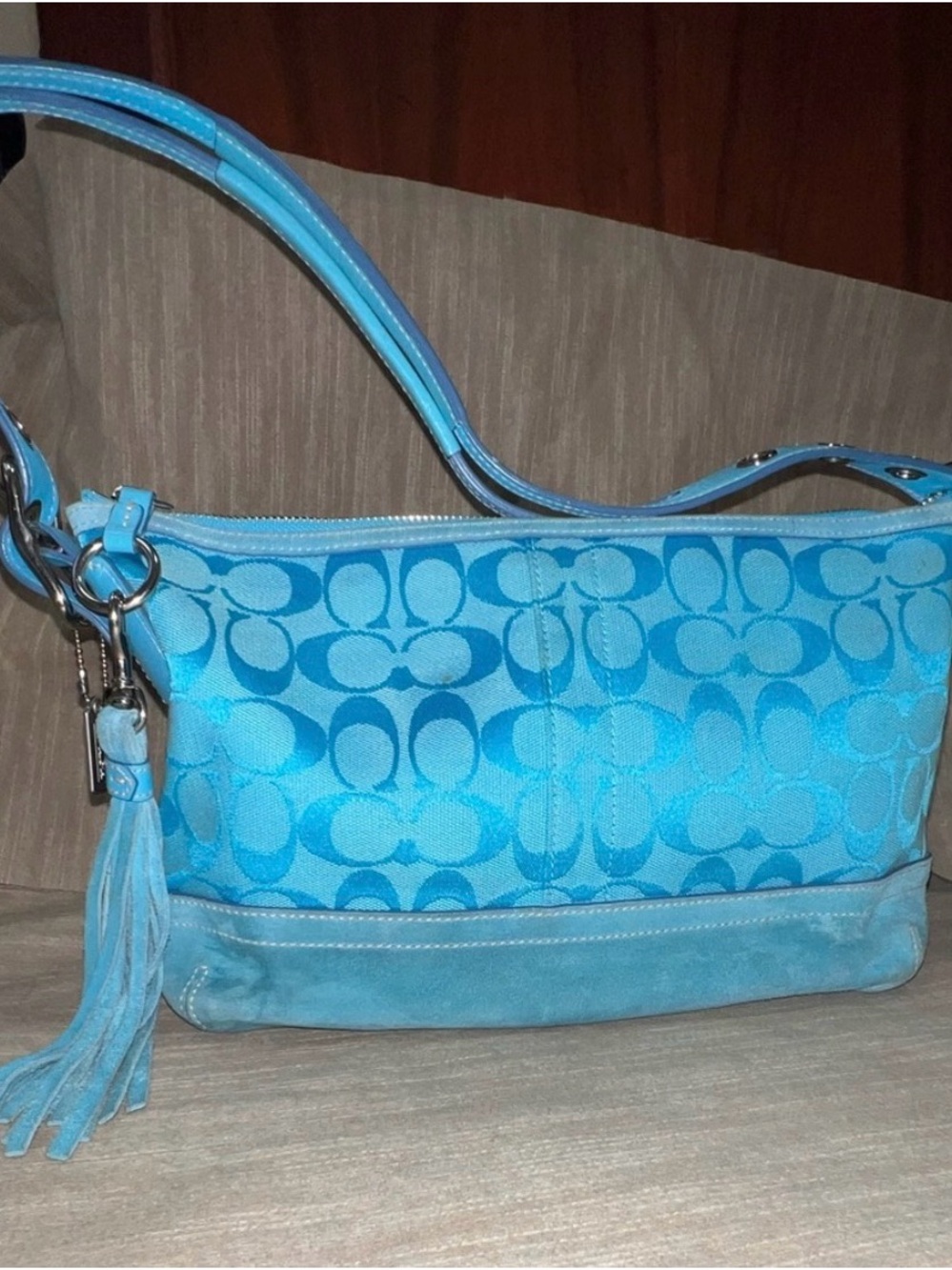 Coach Y2K Soho East West
Turquoise Jacquard Suede Demi Shoulder Bag 2004